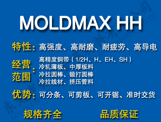 MOLDMAX HH~